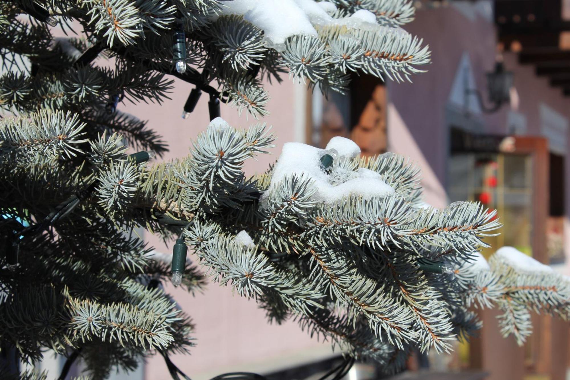 Garni Oasi Hotel Livigno Exterior photo